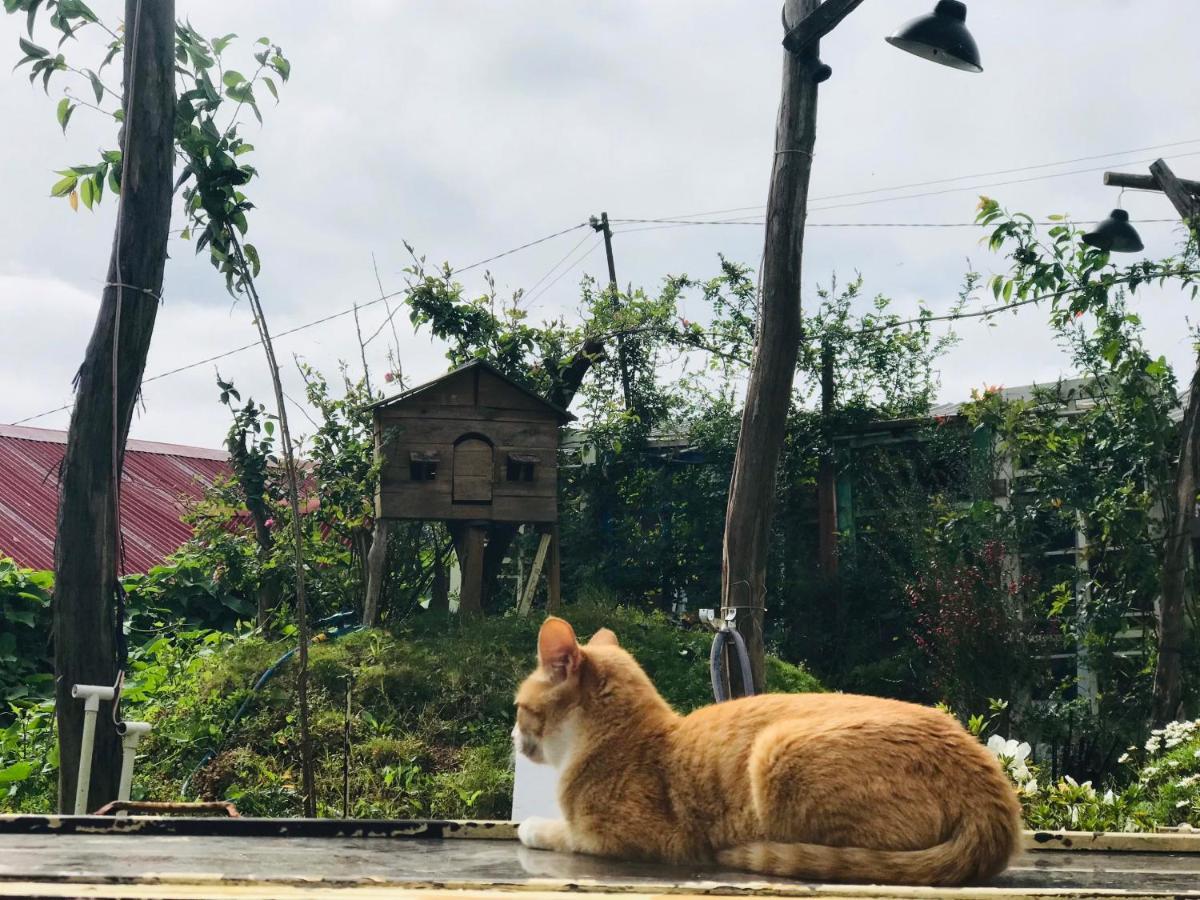 The Burrow Dalat 아파트 외부 사진