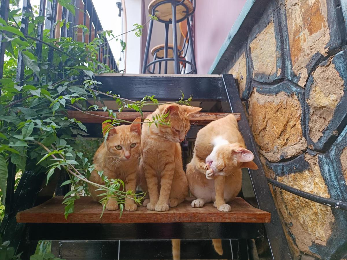 The Burrow Dalat 아파트 외부 사진