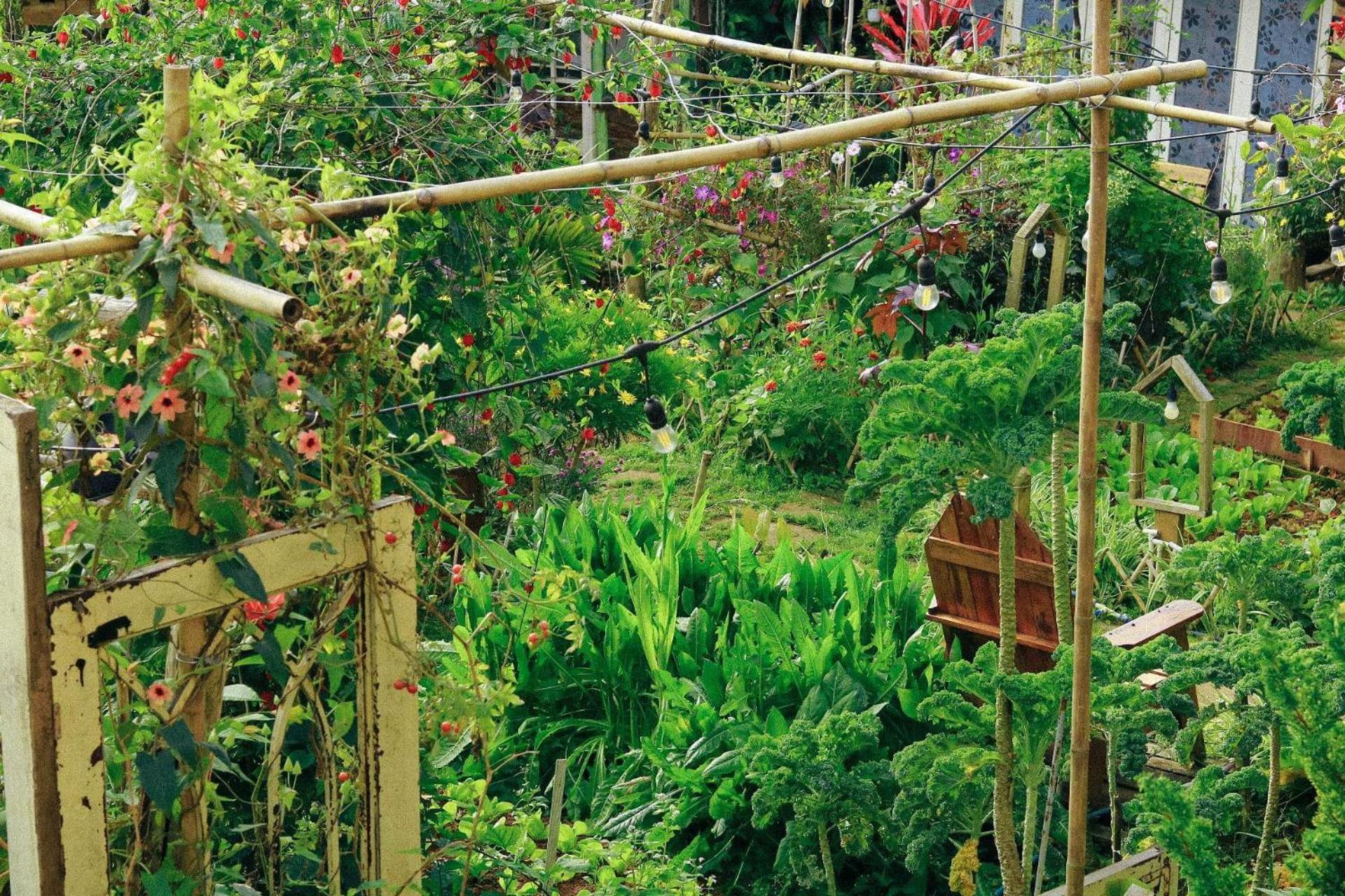 The Burrow Dalat 아파트 외부 사진