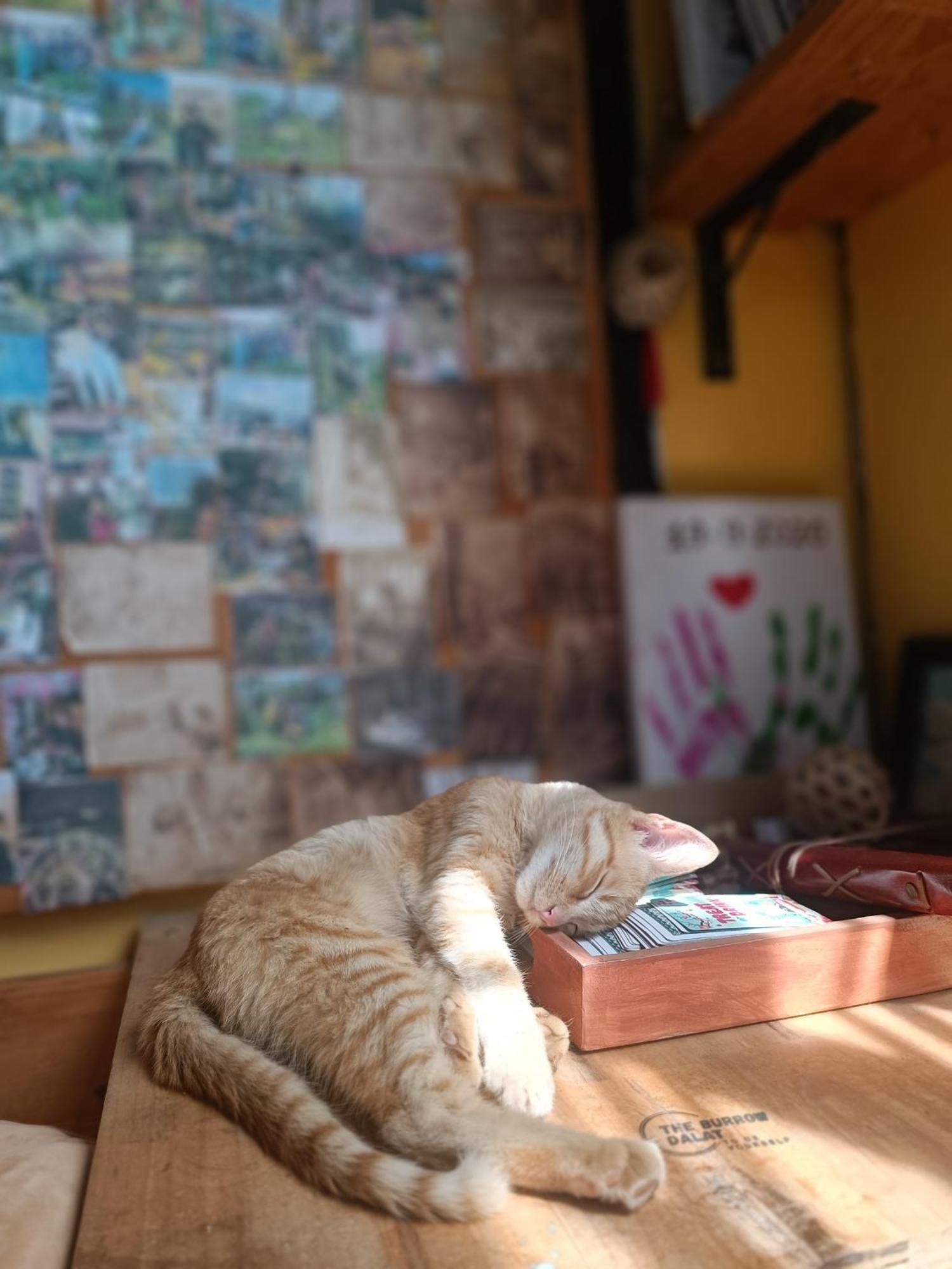 The Burrow Dalat 아파트 외부 사진