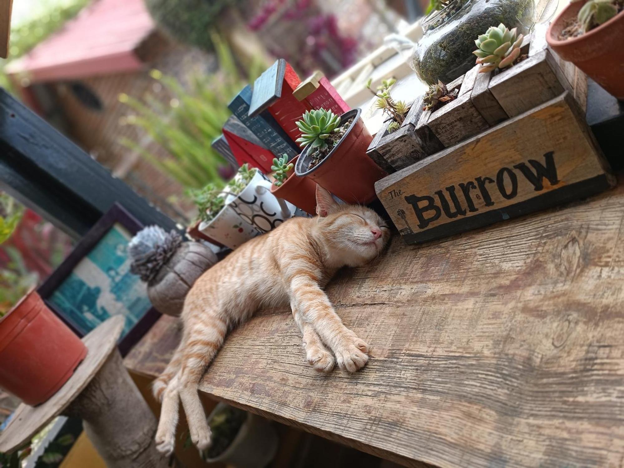 The Burrow Dalat 아파트 외부 사진